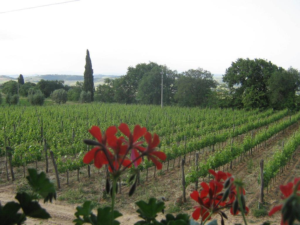 Antico Podere La Martinella San Quirico d'Orcia Ngoại thất bức ảnh